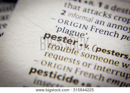 Word Or Phrase Pester In A Dictionary