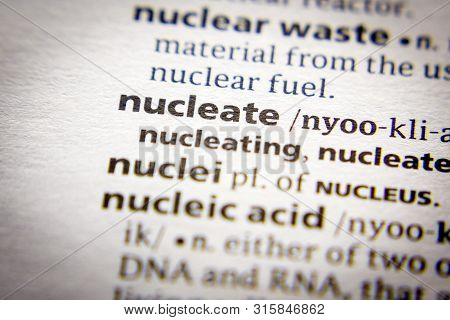 Word Or Phrase Nucleate In A Dictionary