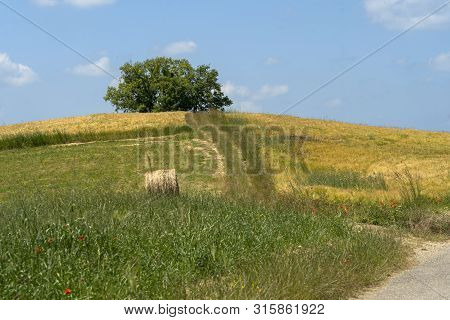 Passo Del Penice, Pavia, Lombardy, Italy: Mountaain Landscape At Late Spring (june)