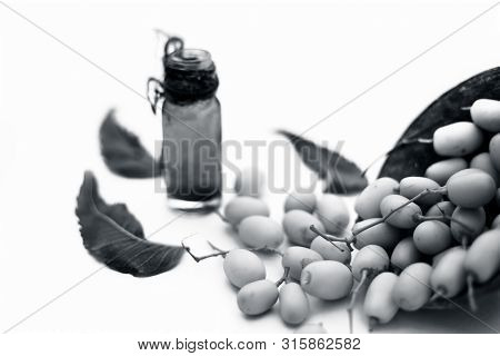 Fresh Green Neem Fruit Of Indian Lilac Fruit In A Clay Bowl Isolated On White Along With Its Concent