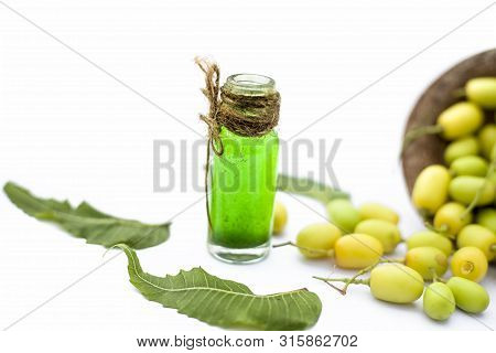 Fresh Green Neem Fruit Of Indian Lilac Fruit In A Clay Bowl Isolated On White Along With Its Concent