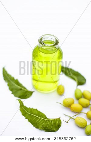 Fresh Green Neem Fruit Of Indian Lilac Fruit In A Clay Bowl Isolated On White Along With Its Oil In
