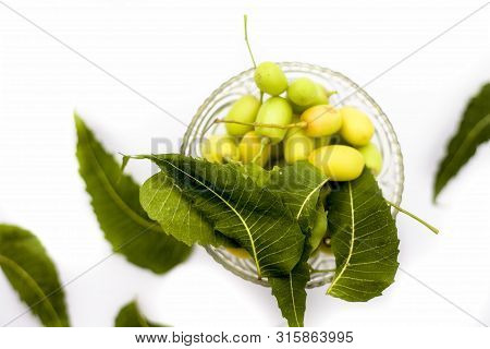 Neem Fruit Or Nim Fruit Or Indian Lilac Fruit In A Glass Bowl Isolated On White Along With Some Fres