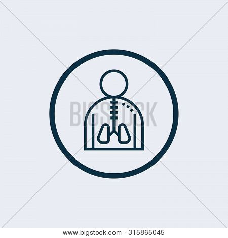 Kidney Icon. Flat Illustration Of Half Kidney Vector Icon For Web Isolated On White