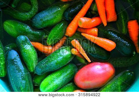 Cucumbers,tomatoes, Carrots In The Water. My Vegetables For Preparation Of Preparations, Pickles And