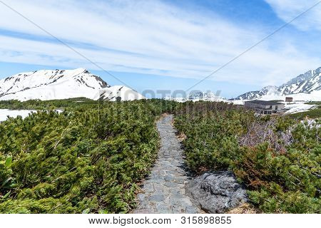 Nature Trail At Murodo On Tateyama Kurobe Alpine Route.
