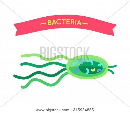 Bacteria Organism Projection Poster For Biology Material. Miniature Medusiform Creature Microbe Or V