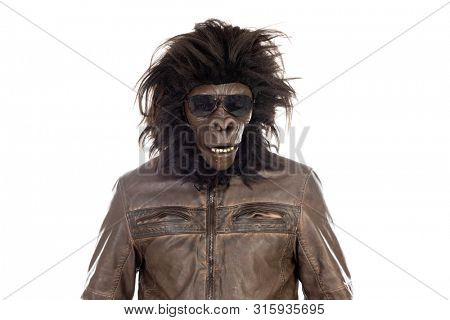 Man with gorilla head isolated on a white background