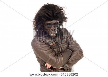 Man with gorilla head isolated on a white background