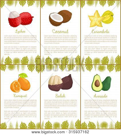 Lychee And Coconut Carambola Posters Set With Text Sample Vector. Salak And Avocado, Star Slice And 