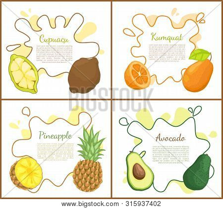 Cupuacu And Kumquat, Avocado And Pineapple Posters Set With Text Sample. Nourishing Organic Products