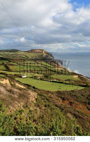Scenic View Of Golden Cap Mountain In Dorset