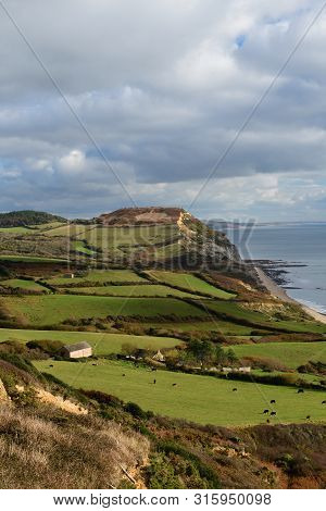 Scenic View Of Golden Cap Mountain In Dorset
