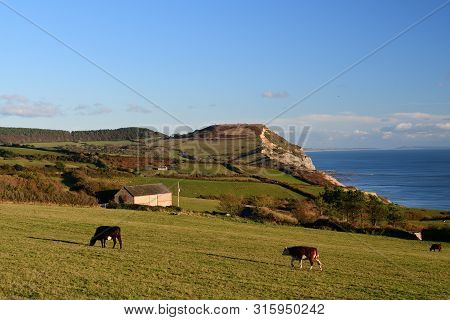 Landscape Photo Of Golden Cap Mountain In Dorset