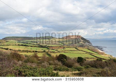 Scenic View Of Golden Cap Mountain In Dorset