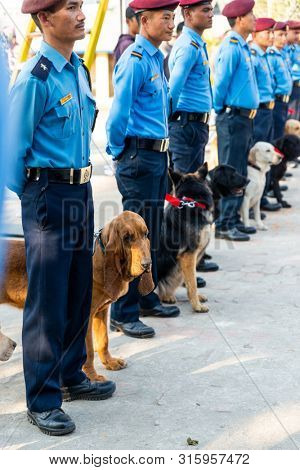 KATHMANDU, NEPAL - NOVEMBER 6, 2018: Nepal police celebrates Kukur Tihar (dog festival) at Central Police Dog Training School.