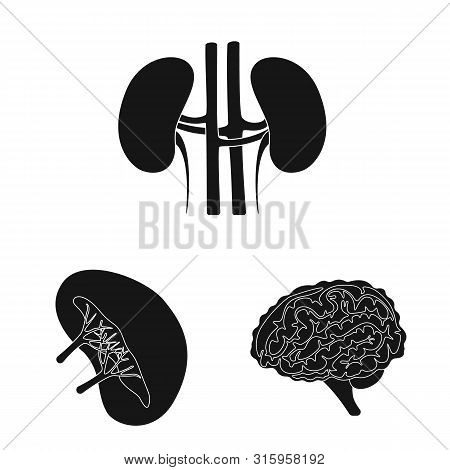 Isolated Object Of Research And Laboratory Icon. Set Of Research And Organ Stock Vector Illustration