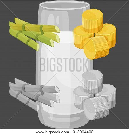 Isolated Object Of Farm And Agriculture Logo. Set Of Farm And Technology Stock Symbol For Web.