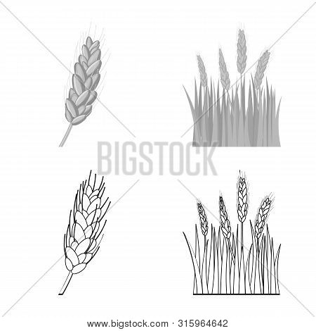 Vector Illustration Of Agriculture And Farming Icon. Set Of Agriculture And Plant Vector Icon For St