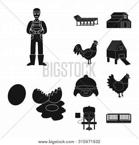 Vector Illustration Of Harvest And Farming Icon. Set Of Harvest And Poultry Vector Icon For Stock.