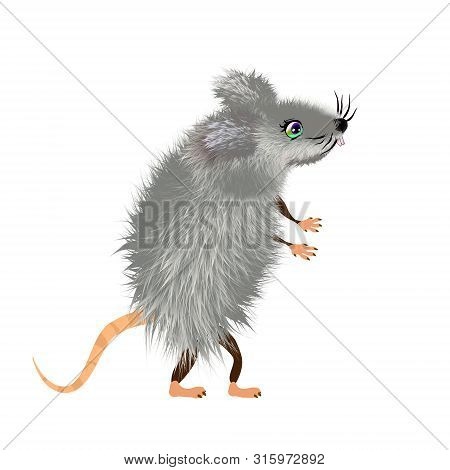 Grey Downy Mouse Cartoon, Mice Cute Wild Or Domestic Animal, Vector Character. Rat Furry Rodent Masc