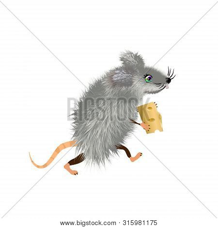 Cute Grey Downy Cartoon Mouse With A Piece Of Cheese, Mice Cute Wild Or Domestic Animal, Vector Char