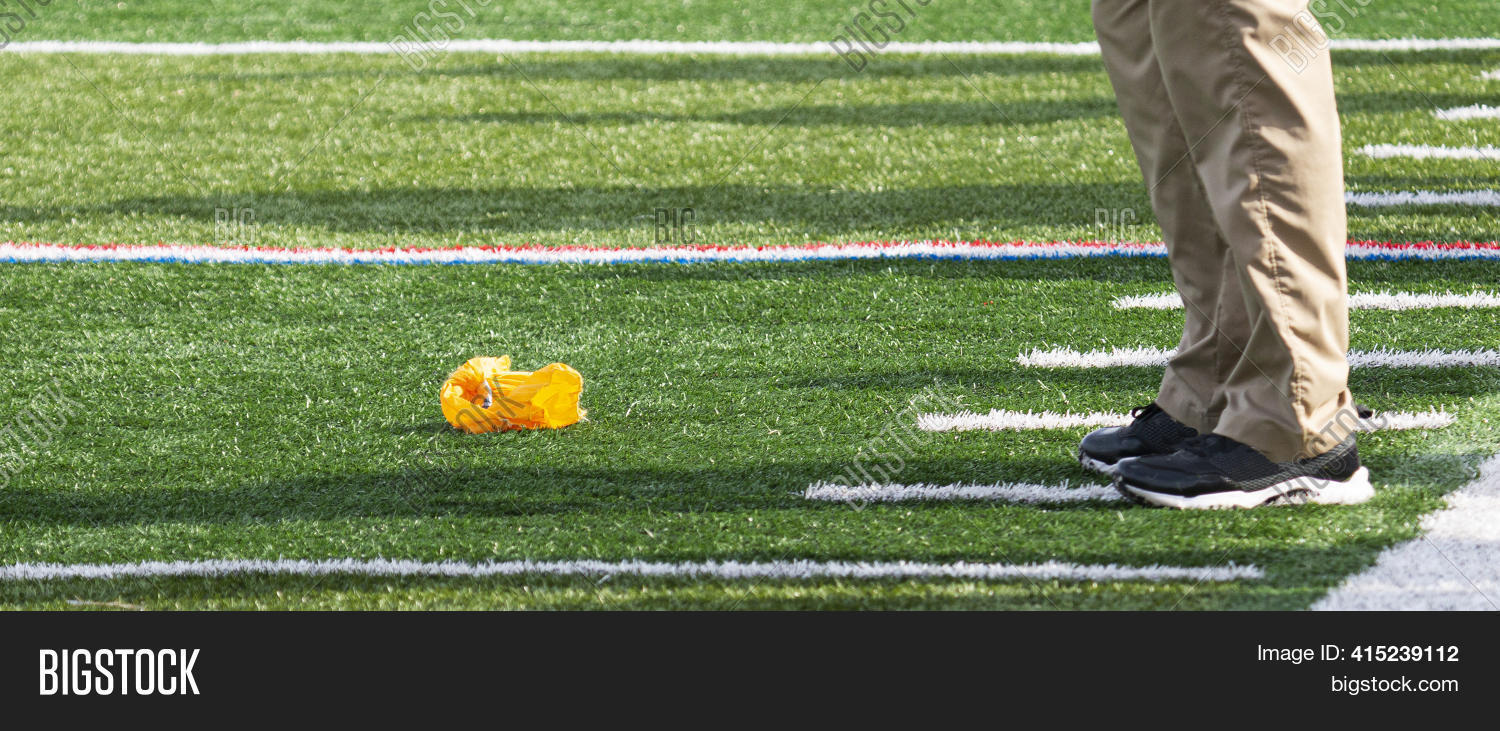 Football Official Image & Photo (Free Trial) Bigstock