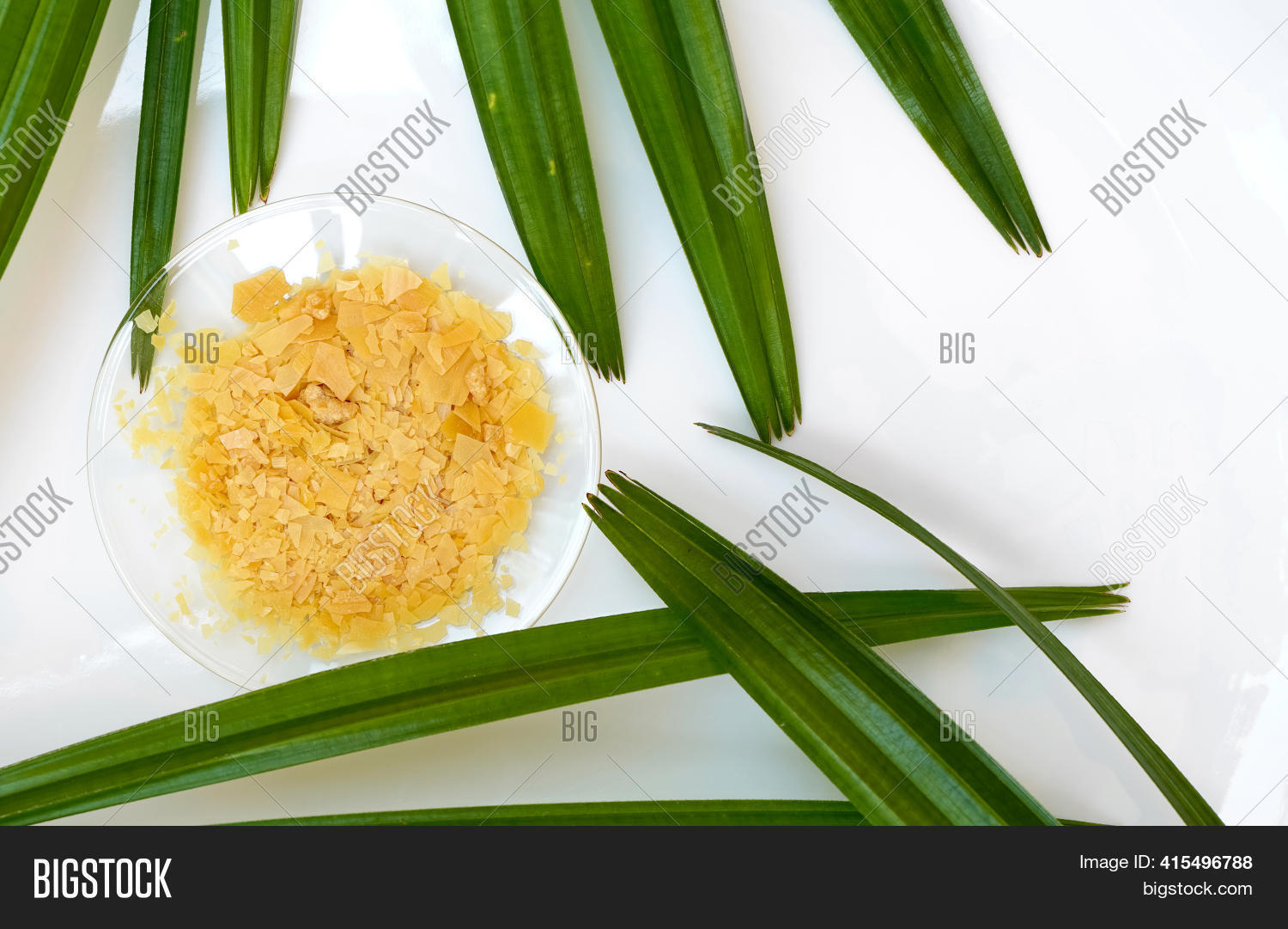 Organic Carnauba Wax Image & Photo (Free Trial) Bigstock