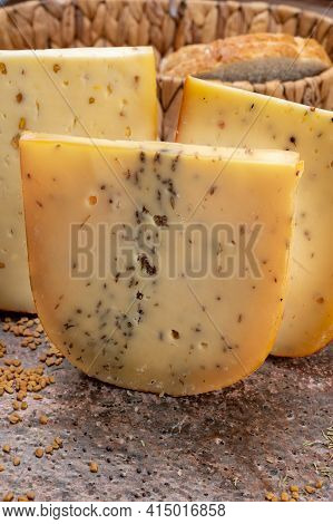 Cheese Collection, Pieces Of Hard Yellow Dutch Gouda Cheese With Dried Caraway, Mustard, Cumin, Fenu