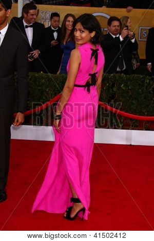 LOS ANGELES - 27 gennaio: Freida Pinto arriva dell'attore schermo 2013 Guild Awards presso il Santuario di Au