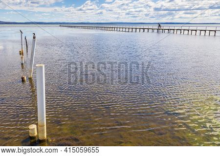 Water Birds Sitting On Old Jetty Posts In The Water Near The Long Jetty At The Entrance In Regional 