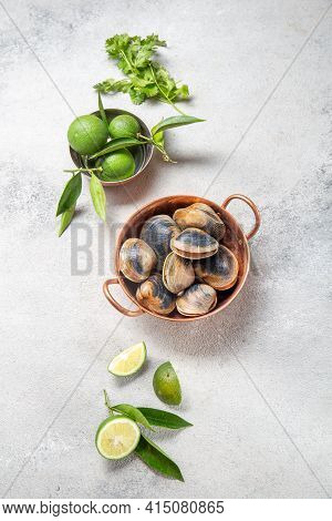 Raw Uncooked Clams Vongole Shells Shellfish With Ingredients For Cooking Coriandr, Beer And Lime In 