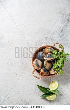 Raw Uncooked Clams Vongole Shells Shellfish With Ingredients For Cooking Coriandr, Beer And Lime In 
