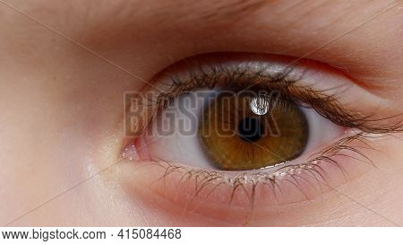 Highly Detailed Macro Shot Opening, Closing Brown Color Pigmentation Eyes Of Little Girl. Human Eye 