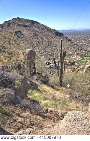 Arizona Desert Landscape