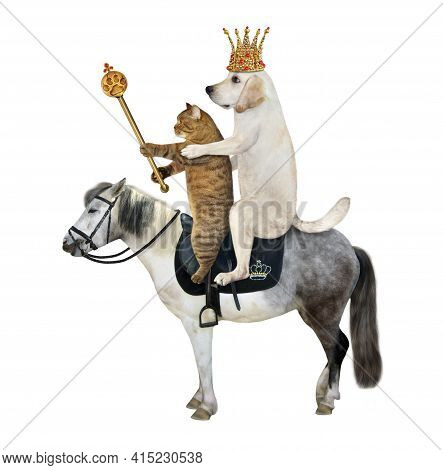 A Dog Labrador King In A Gold Crown With A Royal Scepter And A Beige Cat Ride A Gray Horse. White Ba