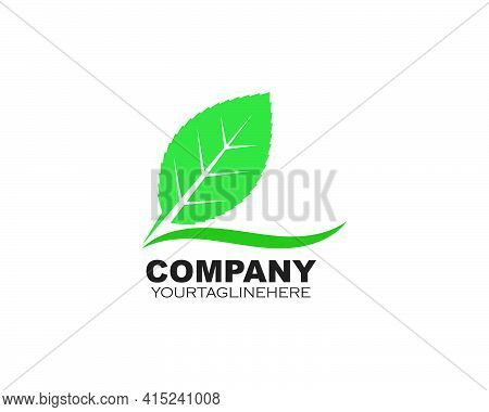 Green Leaf Ecology Nature Element Vector Icon Of Go Green
