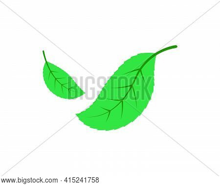 Green Leaf Ecology Nature Element Vector Icon Of Go Green