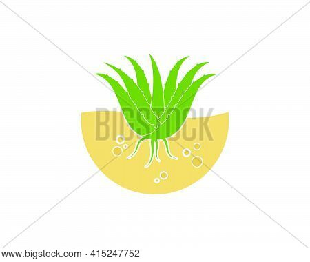 Aloevera Logo Icon Vector Illustration Design