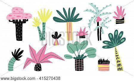 Cartoon Tropical Palm Tree Set. Hand Drawn Summer Stylized Plant Collection, Decorative Colorful Jun