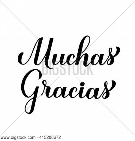 Thank You Very Much Calligraphy Hand Lettering In Spanish Language Isolated On White Background. Vec