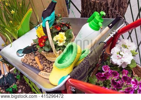 Various Garden Tools And Decor. Household Goods In A Wheelbarrow Trolley Flowers, Watering, Goloshes