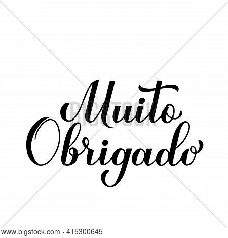 Thank Very Much You Calligraphy Hand Lettering In Portuguese Language Isolated On White Background. 