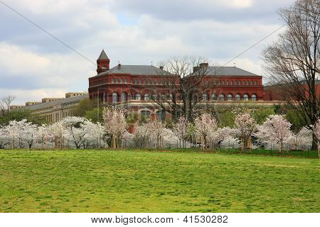 Smithsonian Institute