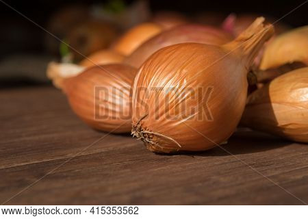 Large Yellow Unpeeled Onion On A Dark Wooden Background. The Unique Natural Antibiotic Of The Bulbou