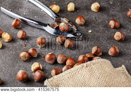 Closeup Selective Focus Image Of Hazelnuts In Shells Scattered From A Vintage Burlap Sack Onto Dark 