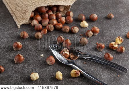 Closeup Selective Focus Image Of Hazelnuts In Shells Scattered From A Vintage Burlap Sack Onto Dark 