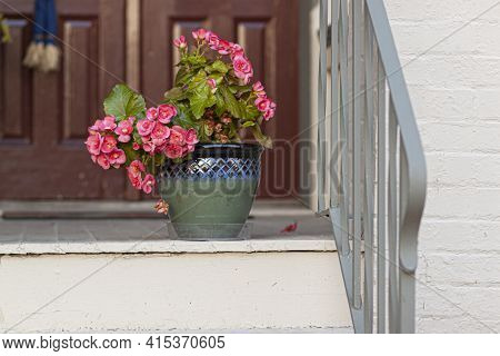 Pink Geranium Flowers In A Decorative Polished Clay Pottery Pot In Front Of The Entrance Of A Vintag