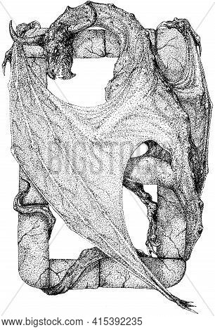 The Dragon Wraps Around The Letter O. The Letter O With A Dragon. Dragon Alphabet.