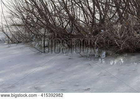 Bright Sunlight Breaks Through The Branches Of The Bushes Due To Which The Ice On The Lake Melts.
